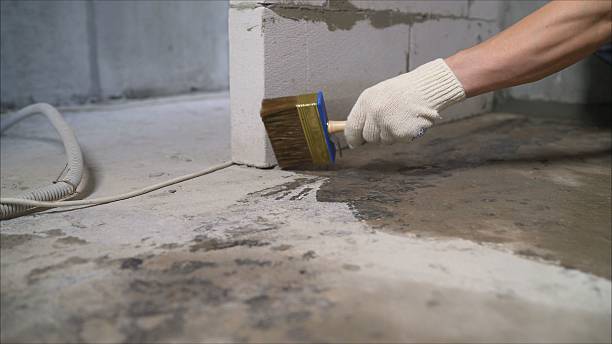 SJ Waterproofing Pros Waterproofing coverage map for Telford, TN and surrounding area